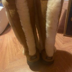 Chestnut Uggs